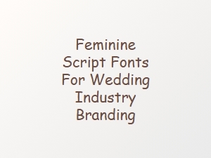 Elevate Wedding Branding with Feminine Script Fonts